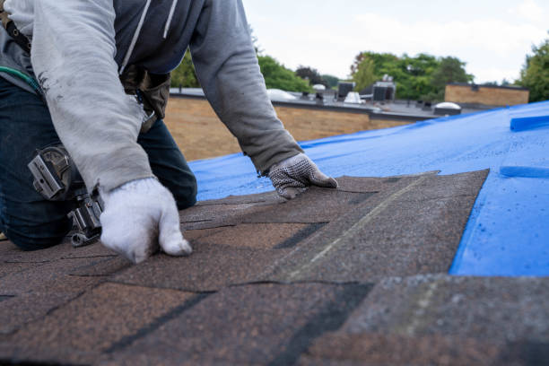 Roof Gutter Cleaning in Tarpey Village, CA
